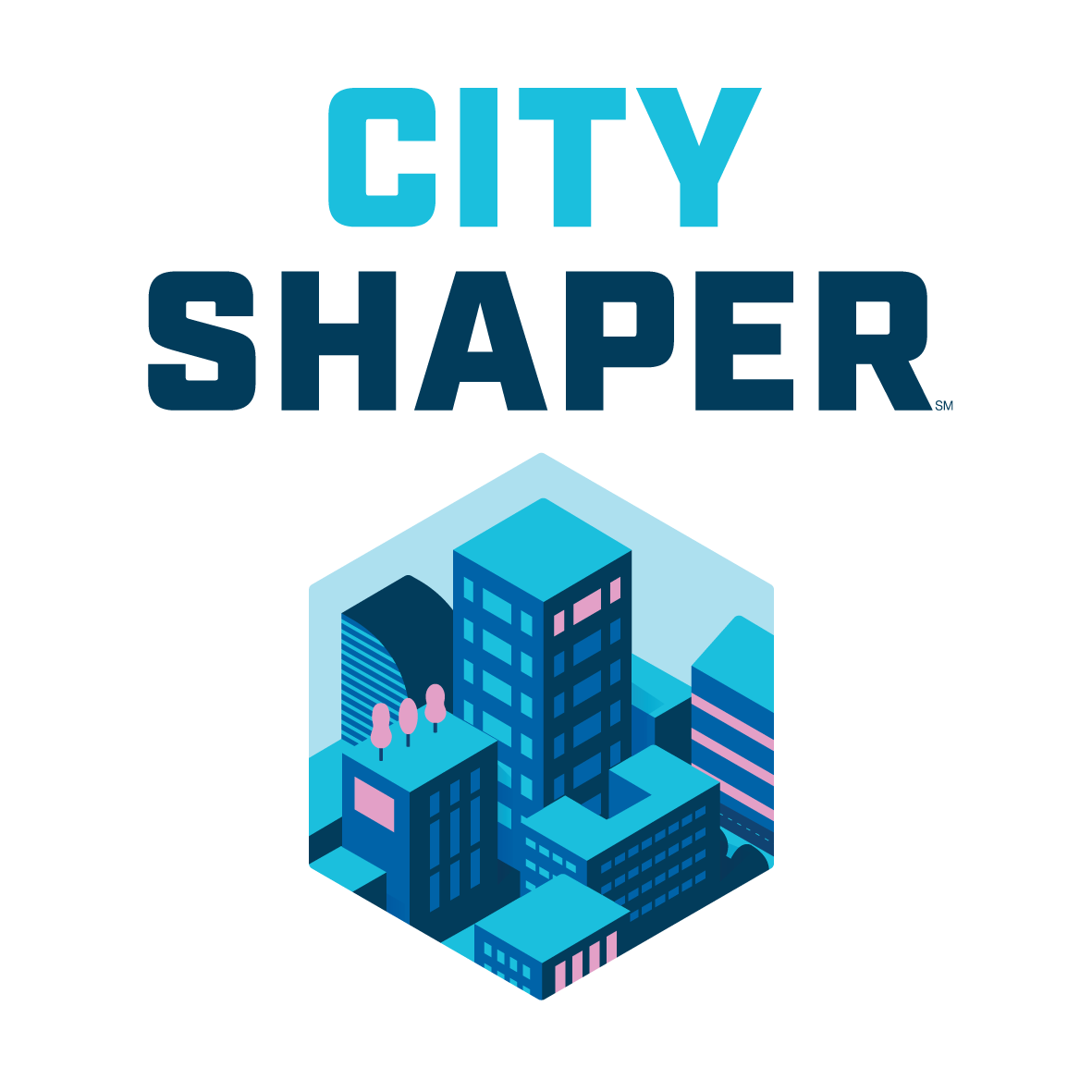 FLL 2019 City Shaper